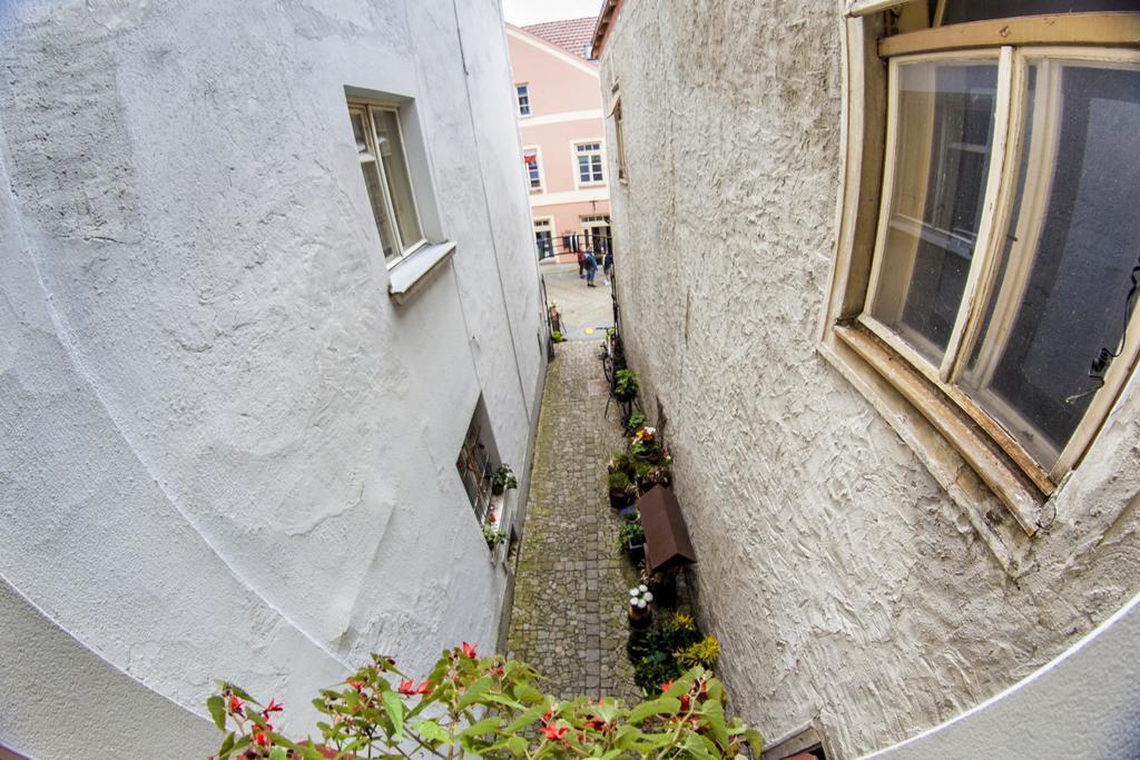 Penzion Cernej Ptak Hotel Jindřichŭv Hradec Exterior foto